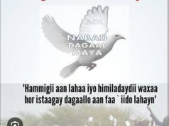 Cadaalada iyo islaamka sida ay u xoojiyay qoraa sare |Abdishakur Hassan Mohamed DUULIYE