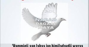 Cadaalada iyo islaamka sida ay u xoojiyay qoraa sare |Abdishakur Hassan Mohamed DUULIYE